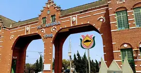 Por falar em primavera, saiba onde fica a capital nacional das flores