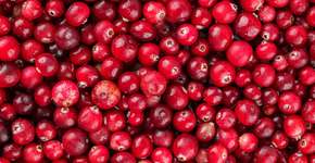 Como o cranberry pode ajudar a prevenir infecções urinárias?