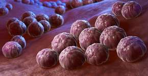 Aumento de infecção sexual que apodrece a pele preocupa autoridades internacionais