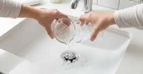 Jogue “esse pó” no ralo do banheiro: os mosquitos do verão somem 80% sem repelente