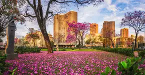 Latam faz mega promoção com passagens a partir de R$ 109