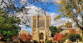 Universidade Yale oferece bolsa de estudo para brasileiros