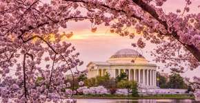 Foto: (Divulgação/Destination DC)