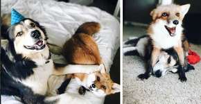 Foto: (Imagem sem texto alternativo disponivel ID [1864407])