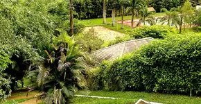 Foto: (Reprodução/Instagram @penedo.rj)