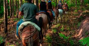 7 lugares escondidos de ecoturismo na capital paulista