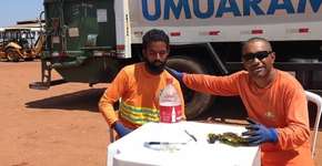 Garis explicam em vídeo como descartar vidro e viralizam