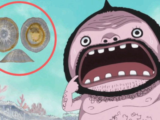 Personagem Wadatsumi, do mangá One Piece, inspirou nome de nova espécie descoberta