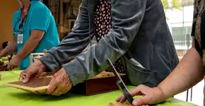 Diadema recebe 13ª Virada Inclusiva a partir de segunda