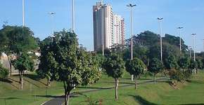 Foto: (Imagem sem texto alternativo disponivel ID [279787])