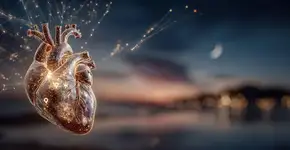 Descubra quais signos têm um coração bondoso e espírito conciliador