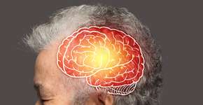 Foto: (iStock/boonstudio)