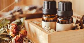 Foto: (Getty Images/iStockphoto)