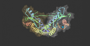 Foto: (Wikimedia Commons)