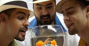 Confira a programação de junho do Umbabaraúma