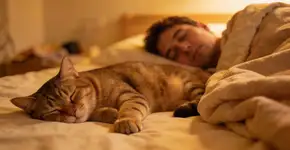 Foto: (Imagem sem texto alternativo disponivel ID [2698140])