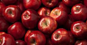 Foto: (combomambo/istock)