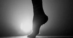 Foto: (Imagem sem texto alternativo disponivel ID [1865195])