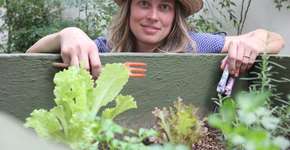 Projeto desenvolve cadeia em que lixo orgânico é transformado em alimento fresco