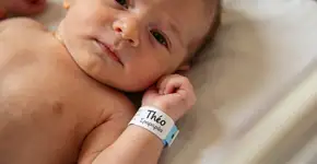 Foto: (Imagem sem texto alternativo disponivel ID [2729748])