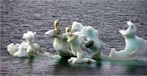 26 imagens para você começar a pensar em mudanças climáticas