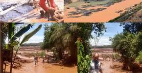 Foto: (Imagem sem texto alternativo disponivel ID [1740151])