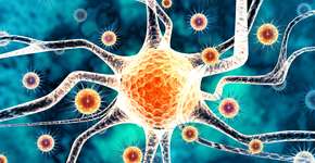 Foto: (iStock/Mohammed Haneefa Nizamudeen)