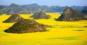 Foto: (Imagem sem texto alternativo disponivel ID [1394303])