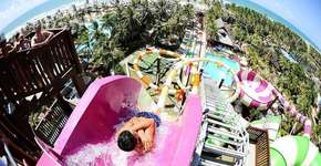 Foto: (Divulgação)