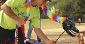 Na Companhia do Mapinguary, Histórias pra Todo Mundo