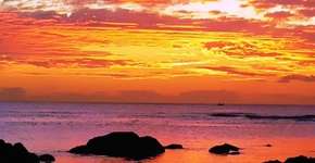 Foto: (Imagem sem texto alternativo disponivel ID [712102])