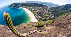 Guia dá dicas de trilhas no Parque da Serra da Tiririca