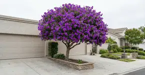 Foto: (Imagem sem texto alternativo disponivel ID [2748732])