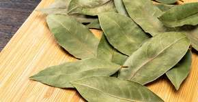 Foto: (Imagem sem texto alternativo disponivel ID [2727595])