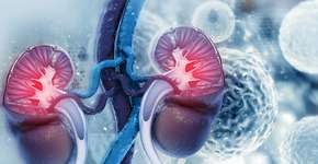 Foto: (Mohammed Haneefa Nizamudeen/istock)