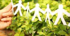 FGV oferece cursos gratuitos sobre sustentabilidade