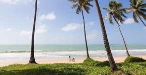 Foto: (Vergani_Fotografia/iStock)