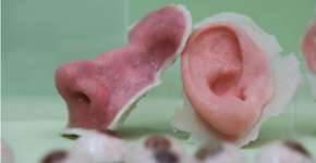 Foto: (Imagem sem texto alternativo disponivel ID [1832807])