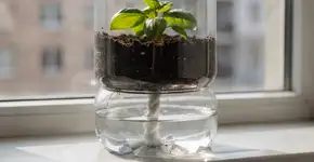 Foto: (Imagem sem texto alternativo disponivel ID [2735767])