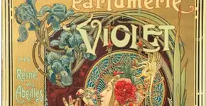 Foto: (Divulgação/MIS Experience)