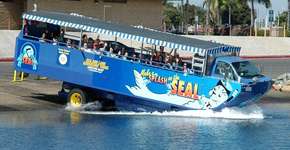 Foto: (Imagem sem texto alternativo disponivel ID [393438])