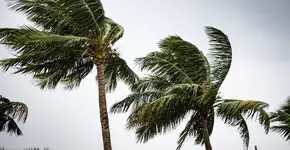 Frente fria muda o clima em boa parte do país com ventos de até 60 km/h
