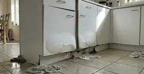 Foto: (Imagem sem texto alternativo disponivel ID [2753337])