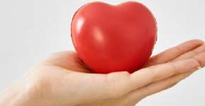 Província canadense e 1 ª da América do Norte a ter doação automática de órgãos