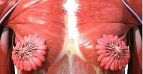 Foto: (reprodução/Twitter)