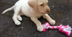 George Soros investe R$ 66 mi em startup brasileira de transporte