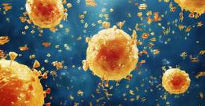 Foto: (nopparit/istock)