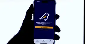 Aplicativo Pardal facilita denúncias de crimes eleitorais em todo o Brasil