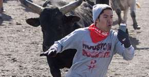 7 momentos em que tirar uma selfie não foi uma boa ideia