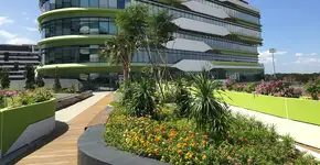 Foto: (Smuconlaw/Wikimedia Commons)